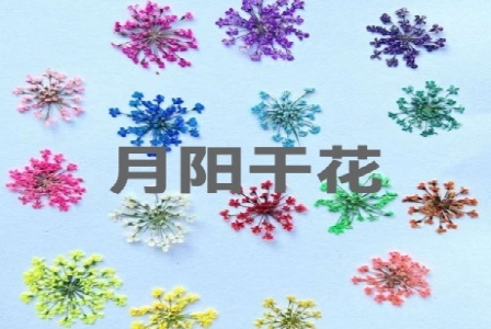 郑州三体创业孵化器有限公司形象图